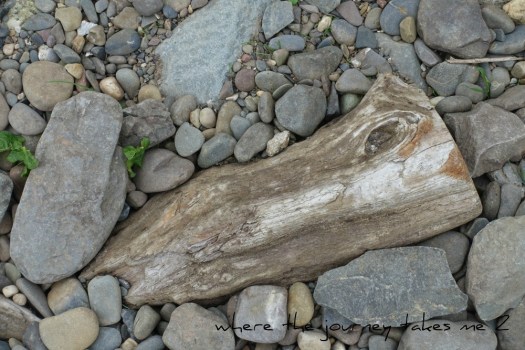 Driftwood