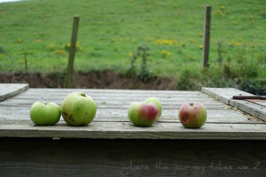 Bramley Apples