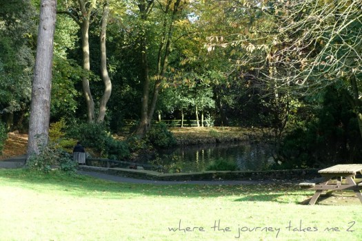 Duck pond