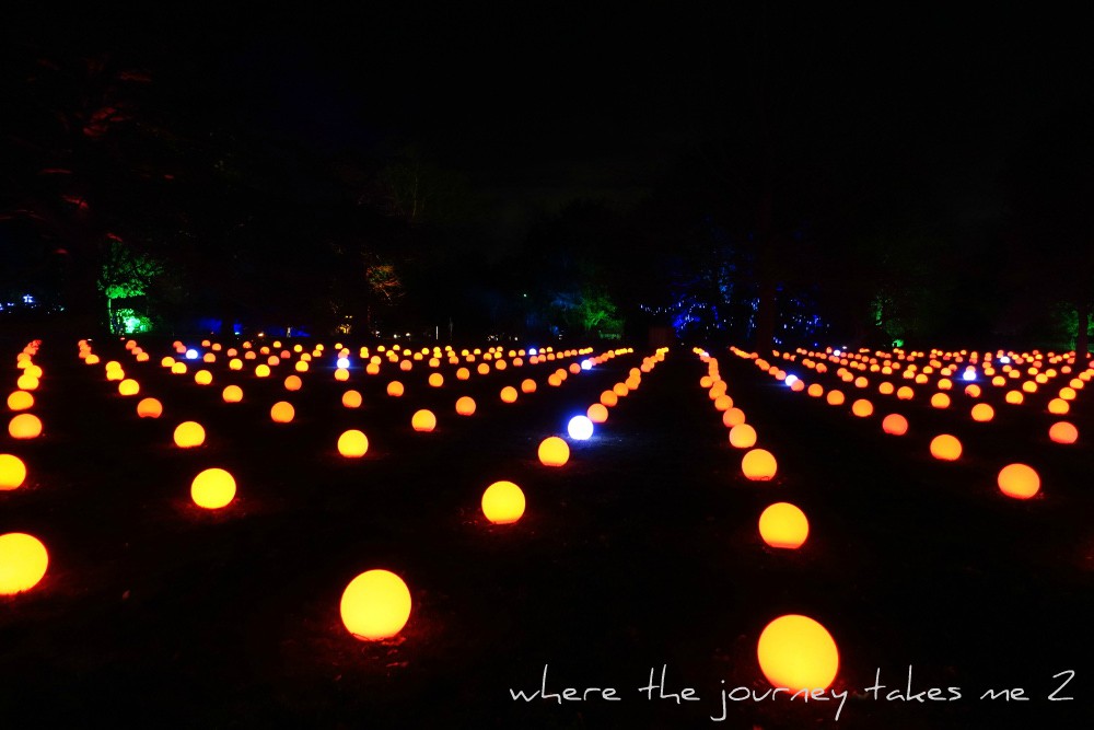 Dunham Massey at Christmas